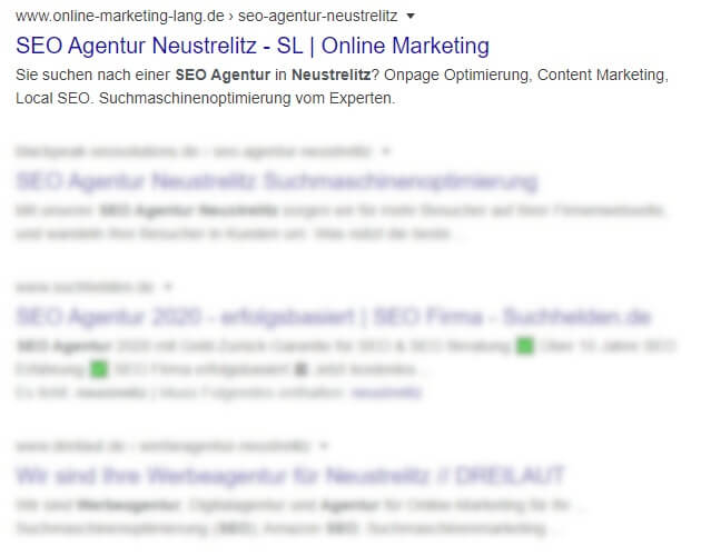 SEO Agentur Neustrelitz