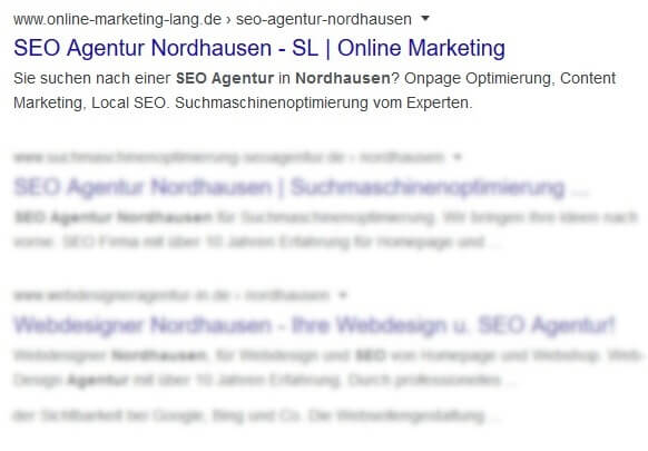 SEO Agentur Nordhausen