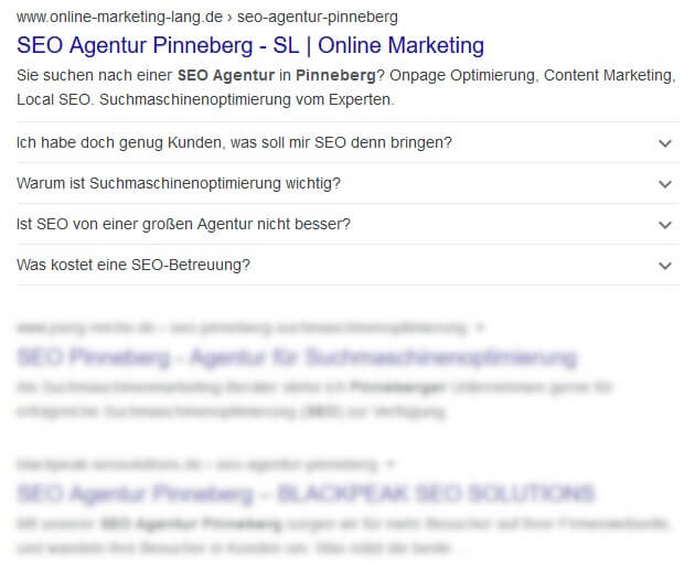 SEO Agentur Pinneberg