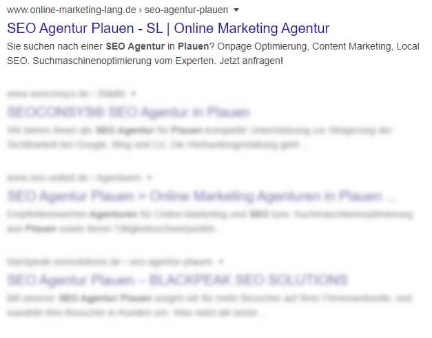 SEO Agentur Plauen