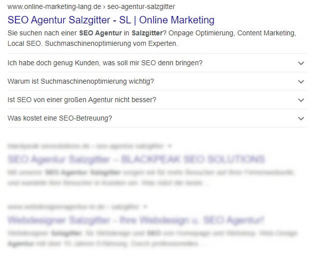 SEO Agentur Salzgitter