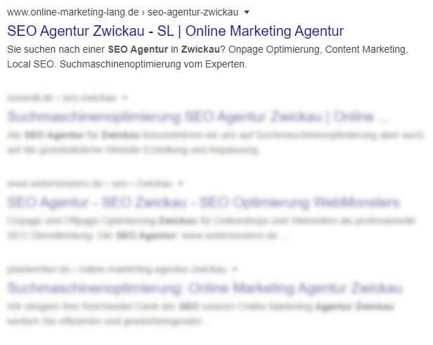 SEO Agentur Zwickau